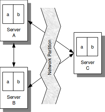 Network Partition